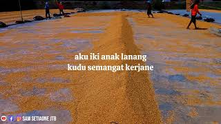 Story WA Anak Lanang