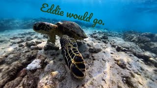 First-Time Snorkeling: Swimming with Sea Turtle in Hawaii!