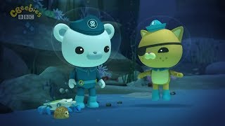 Octonauts - The Crab And Urchin