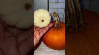 #amazing Rare pumpkin #white #orange #halloween #beta #shorts #viral #trending