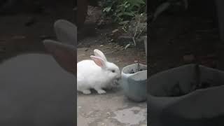 🐇🥹