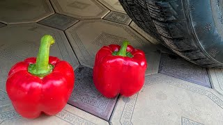 EXPERIMENTAL TEST | Car vs Pepper