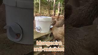 Test mangeoires anti-nuisibles en cours bientôt la vidéo !