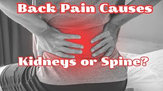 Back Pain Causes: Kidneys or Spine?