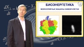 Тихонов А.Н. Биоэнергетика. Молекулярные машины. Часть 1