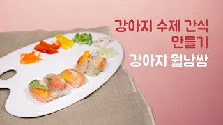 은쌤의 강아지 수제간식 만들기 - 채소 먹기 싫어하는 강아지를 위한 월남쌈