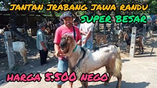 Update Harga Kambing hari ini di pasar hewan Lodoyo-Blitar.