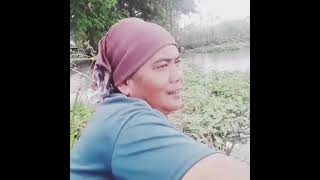 berburu ikan nila di rawa kebayuran Bekasi Jawa barat