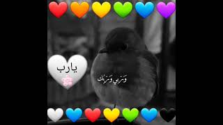 💙كيف لا تفرح❤ و ربي الله 🌸❤لا💛تنسوا🌸الاشتراك في💚 القناه🧡والإعجاب💙وشكرا لكم💜