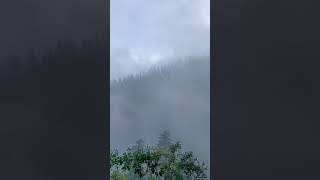 Nathia Gali Murree | 2023 #explorepakistan #adventure #shrots