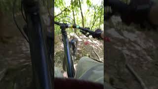 New POV! #bike #mtb #mountainbike #pov #shorts #fyp