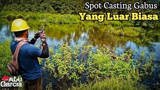 CASTING IKAN GABUS DI SPOT RAWA