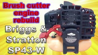 Briggs and Stratton SP43-W, two stroke brush cutter engine rebuild