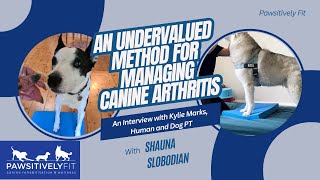 An Undervalued Method for Managing Canine Arthritis with Kylie Marks