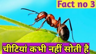 Top 20 interesting facts of daily life in hindi