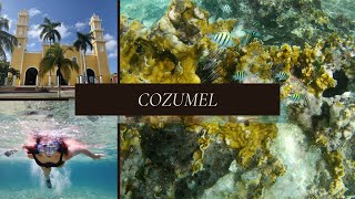 Cozumel from drone | underwater life - coral reef | Walking tour