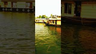 Alleppey Back water in Kerala india #shorts #short #youtubeshorts #trending