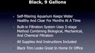 Desktop Aquarium Reviews - biUbe Aquarium Black, 9 Gallons