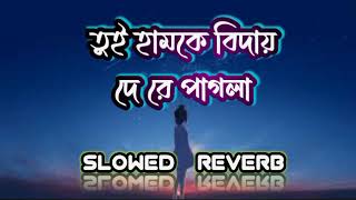 তুই হামকে বিদায় দে রে পাগলা || PURULIA NEW LOFI SONG || SLOWED REVERB SONG || #slowedandreverb