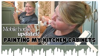 SINGLE WIDE Mobile home updates | Painting my kitchen cabinets in Dried Thyme + Tubing on the river