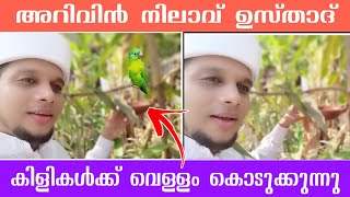 ഉസ്താദ് കിളികൾക്ക് വെള്ളം കൊടുക്കുവാ 🥰| അറിവിൻ നിലാവ് Arivin Nilav