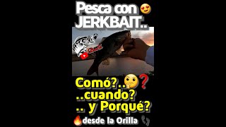 Pesca con JERKBAIT desde la ORILLA👣👣!! CUANDO, COMO Y PORQUE UTILIZARLO??