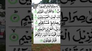 surah Yasin 1-6 semoga mendapatkan syafaat Rasulullah #murottal #fypシ゚viral #ceramahmenyentuhhati