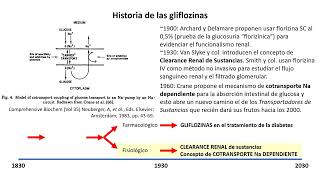 Gliflozinas Dr  Serra