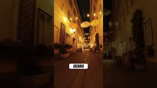 Night walk in Vienna. #austria #vienna #europe #wien #trending #citytour #europetravel #insta360