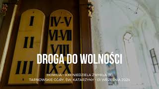 Droga do wolności ‐ XXII Niedziela Zwykła (B)