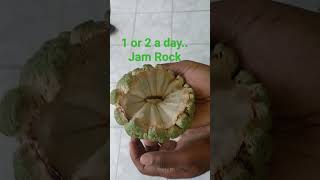 Jam Rock #summer #Jamaica #jamrock #jamaicanfood