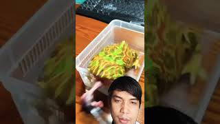 Funny Frog Eat Fail