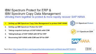 IBM SP for ERP & CDM  with SAP Hana - Setting up CDM - Demo