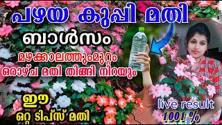 മഴകാലത്തു കുപ്പി ഇങ്ങനെ ചെയ്താൽ/ചട്ടിയിൽ തിങ്ങി നിറയും /raining care balsam /poppy vlogs/malayalam