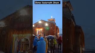 श्री केदारनाथ जी की आरती || kedarnath temple #youtubeshorts #trending #mahadev #kedarnathyatra2024