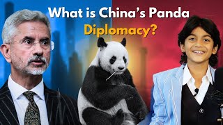 What is china Panda Diplomacy ? Secret panda #businesscasestudy #pandadiplomacy#businesssuccess