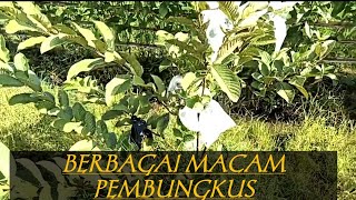 Update uji coba berbagai macam pembungkus jamkris..