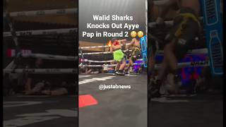 Walid Sharks Knocks Out Ayye Pap in Round 2 😳😳🔥🥊 #youtubeboxing #misfits006