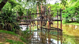 Cambodia, Siem Reap, River, Angkor, Nature, Trees, Relax, RIVER IMPRESSIONS, សៀមរាប, ទន្លេ