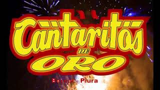 Mix Vuelve Cariñito _ Cantaritos De Oro