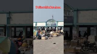 Pulicat Fish Market #pulicat #shorts