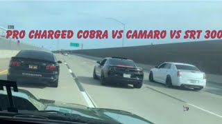 Cobra vs Camaro vs Srt (treasure island birthday cruise)