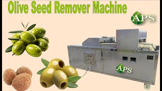 Efficient Olive Seed Remover: Enhancing Productivity and Quality in Olive Processing"