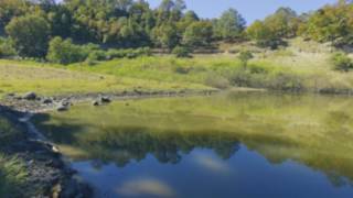 Caminando Por el  Monte en Santa Cruz, Mixtepec 2016