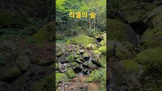 라엘의 숲 쉼터  #건강농원   #물정원