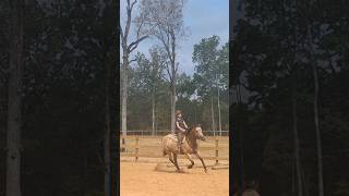 Bea being a good girl. #equestrian #equestrian #horsebackriding #horse