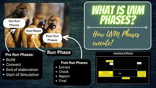 UVM Phases | Commonly used phases of all time | Which UVM phase executes first?