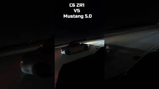 ZR1 Corvette VS Ford Mustang 5.0! #cars #automobile #streetcar #sportscar #shorts