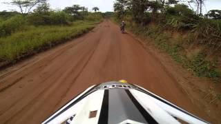 Porquinhos na estrada (Brumadinho)