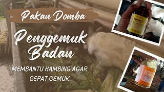 BENGKEL KAMBING KURUS / PAKAN DOMBA AGAR CEPAT GEMUK